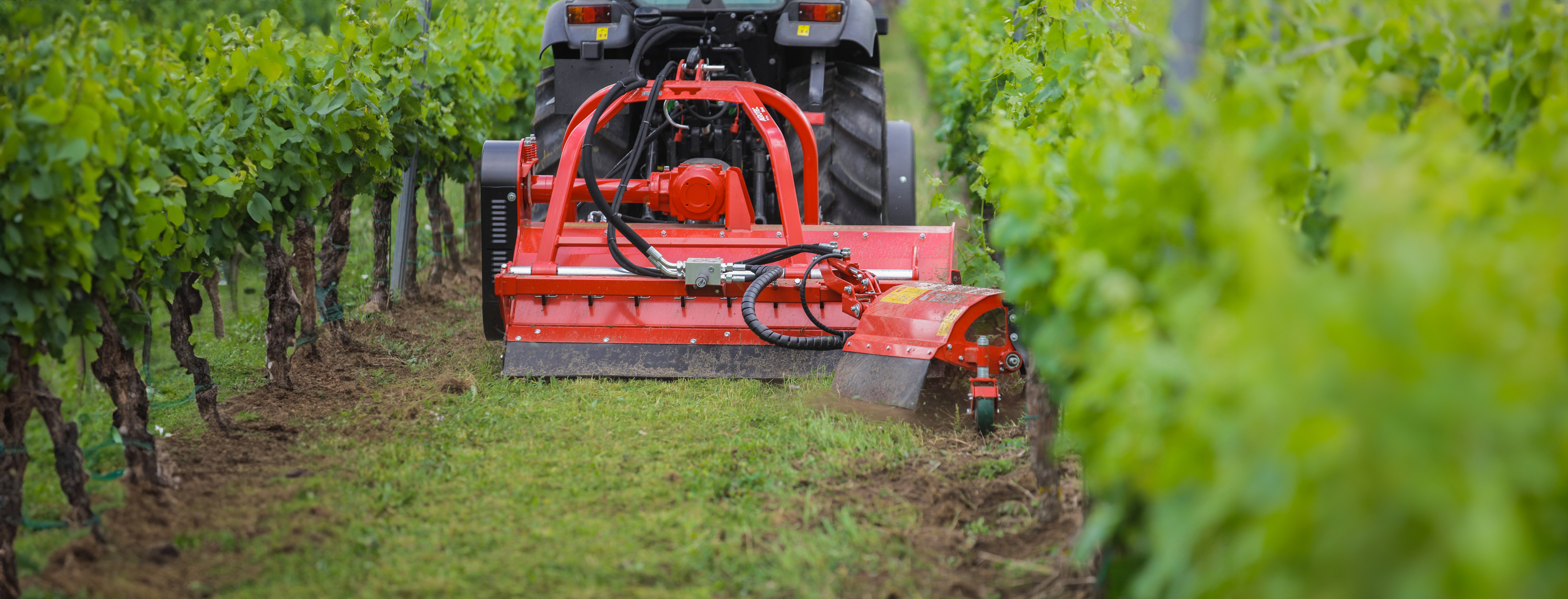 Technos-mulchers-vineyard-lukaskralpjhoto-cz-(10).jpg