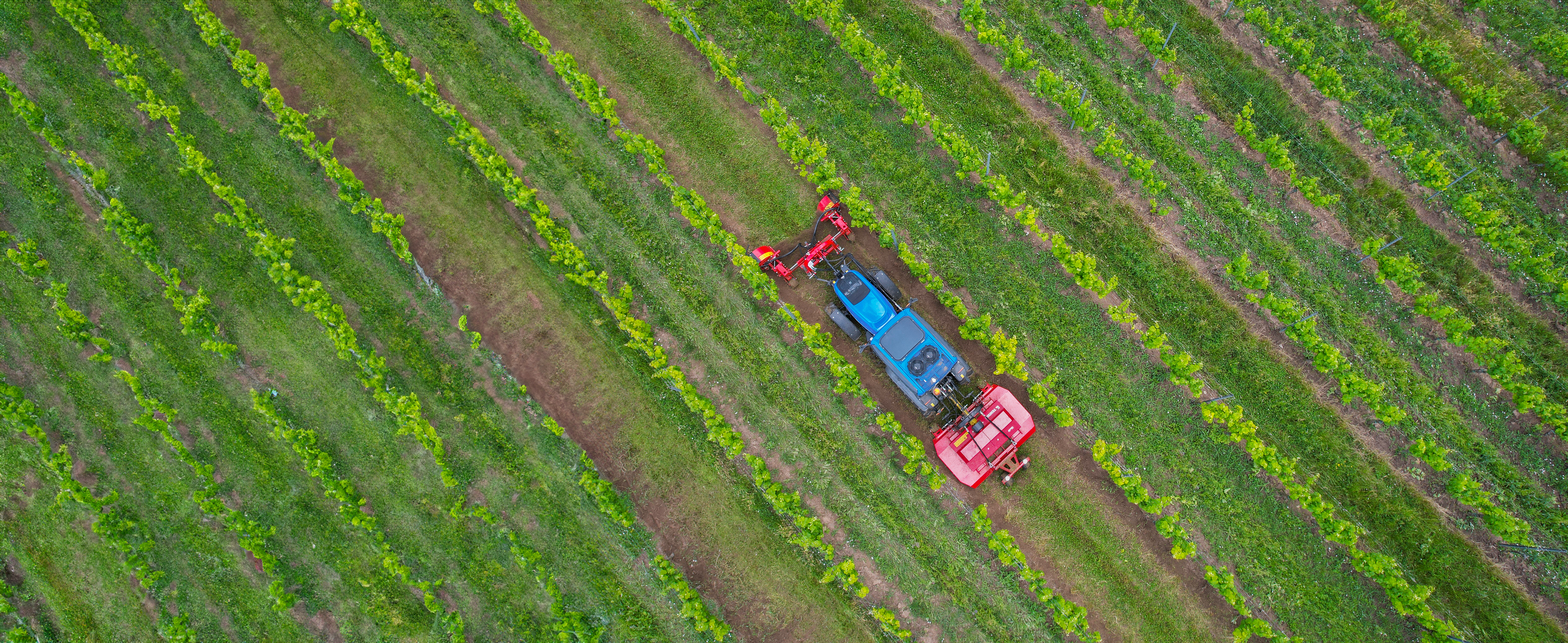 Technos-mulchers-vineyard-lukaskralpWhoto-cz-(4).jpg